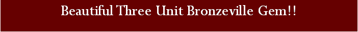 Text Box: Beautiful Three Unit Bronzeville Gem!!