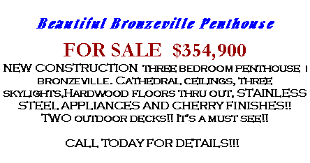 Text Box: Beautiful Bronzeville PenthouseFOR SALE  $354,900NEW CONSTRUCTION  three BEDROOM penthouse  I BRONZEVILLE. Cathedral ceilings, three skylights,Hardwood floors thru out, STAINLESS STEEL APPLIANCES AND CHERRY FINISHES!! TWO outdoor decks!! It�s a must see!!  CALL TODAY FOR DETAILS!!!&nbsp;&nbsp;