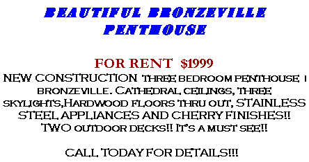 Text Box: Beautiful Bronzeville PenthouseFOR RENT  $1999 NEW CONSTRUCTION  three BEDROOM penthouse  I BRONZEVILLE. Cathedral ceilings, three skylights,Hardwood floors thru out, STAINLESS STEEL APPLIANCES AND CHERRY FINISHES!! TWO outdoor decks!! It�s a must see!!  CALL TODAY FOR DETAILS!!!&nbsp;&nbsp;